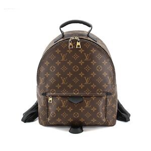 Louis Vuitton Monogram Palm Springs Backpack MM Brown